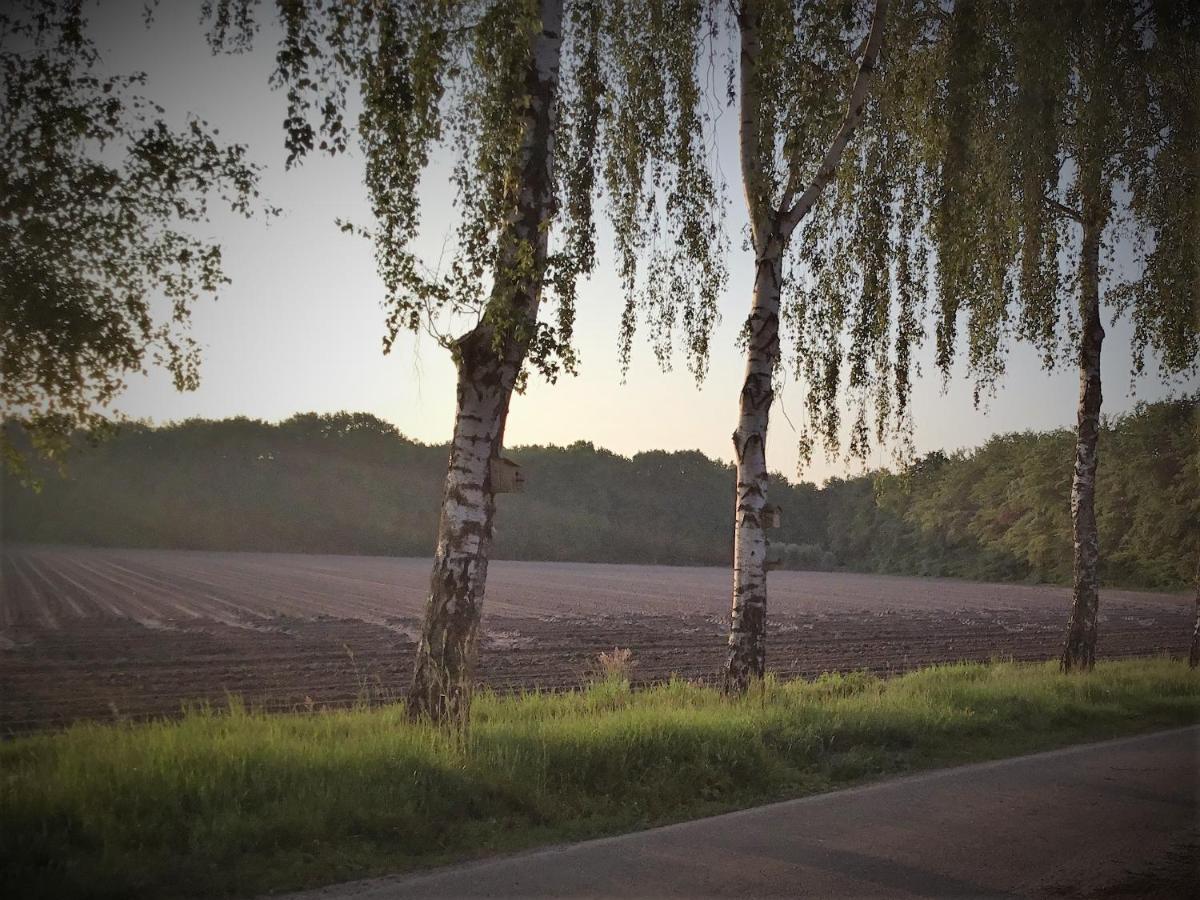 B&B Op 'T Eikenschoor Soerendonk Zewnętrze zdjęcie